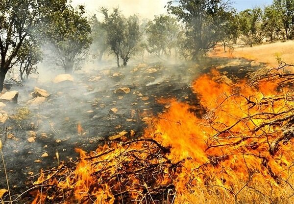 هشدار منابع طبیعی نسبت به احتمال وقوع آتش سوزی در مراتع دماوند