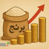 قیمت برنج ترمز بریده تر از همیشه | راهکاری غیر از تزریق برنج تنظیم بازار نیست ؟